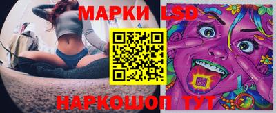мяу мяу мука Владикавказ