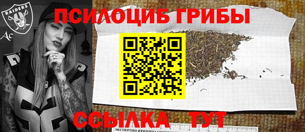 Рославль  Галлюциногенные грибы мухоморы  Вход с VPN 